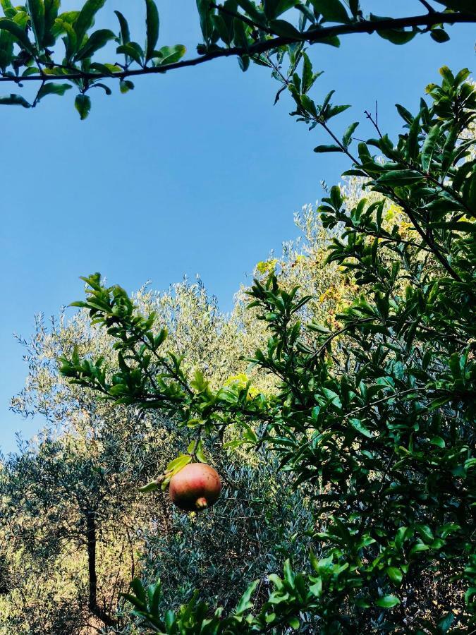 Ricomincio Da 3 Bed & Breakfast Pompei Luaran gambar